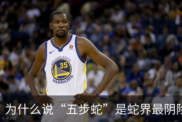 为什么说“五步蛇”是蛇界最阴险的毒蛇？它有何特别之处？