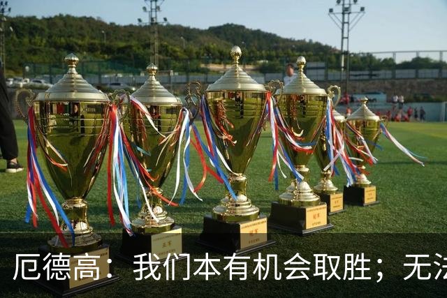 厄德高：我们本有机会取胜；无法赢球时至少要确保拿到平局