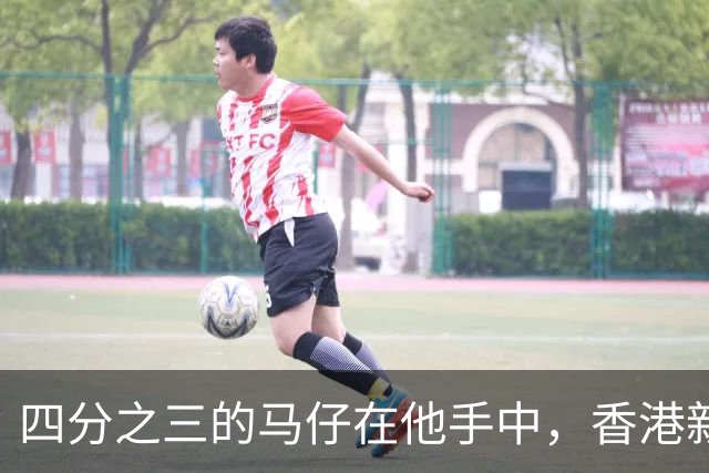 四分之三的马仔在他手中，香港新义安真正的掌舵人，竟不姓“向”