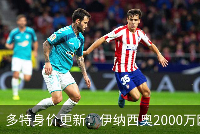 多特身价更新：伊纳西奥2000万欧，阿尔伯特从30万升至500万