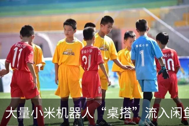 大量小米机器人“桌搭”流入闲鱼！全新199元，二手才35块