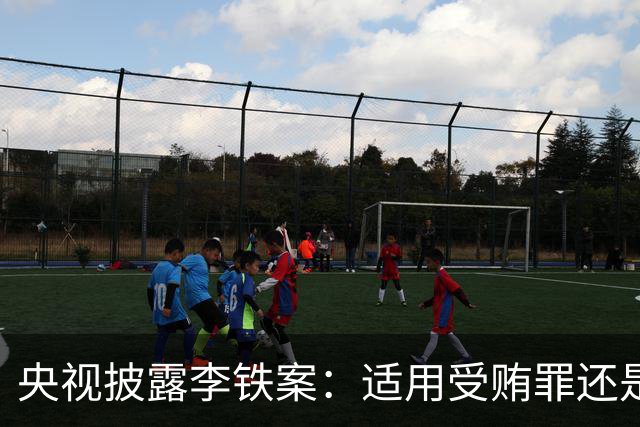 央视披露李铁案：适用受贿罪还是非国家工作人员受贿罪？