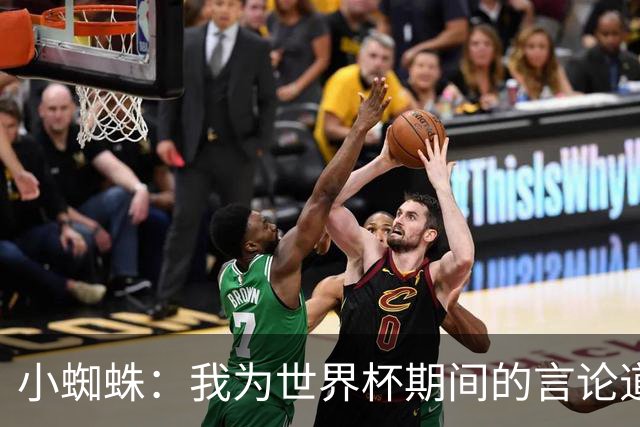 小蜘蛛：我为世界杯期间的言论道歉，换作我是球迷也会生气