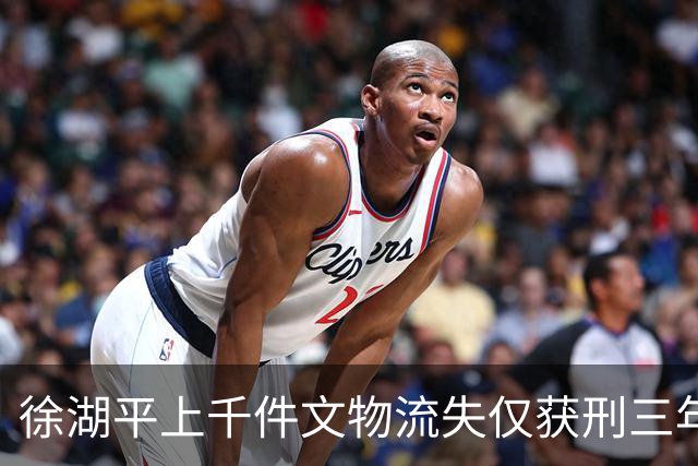 徐湖平上千件文物流失仅获刑三年：不是法外开恩，而是法条规定的边界