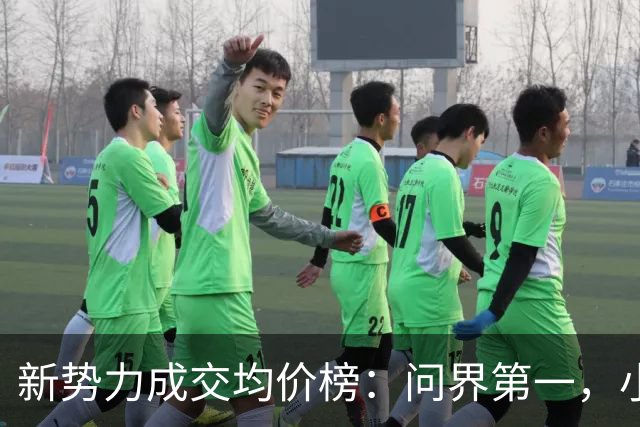新势力成交均价榜：问界第一，小米第九，最后一名半价"理想" 并非浪得虚名