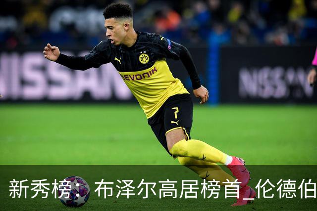新秀榜：布泽尔高居榜首 伦德伯格、威尔逊分列二三