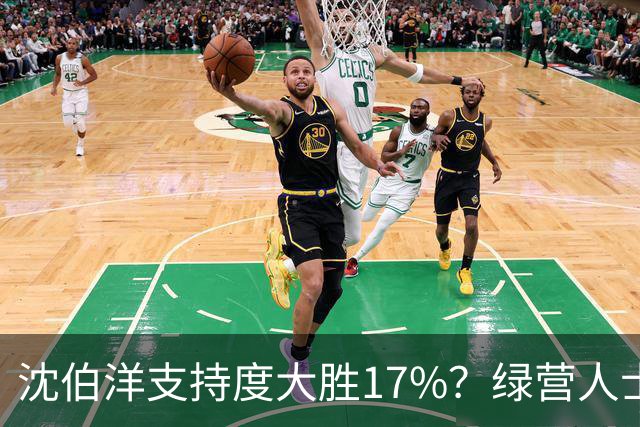 沈伯洋支持度大胜17%？绿营人士：蒋万安支持者可能未充分表态