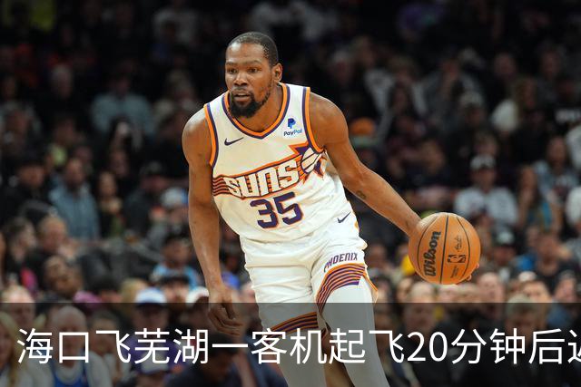 海口飞芜湖一客机起飞20分钟后返航，桂林航空：空中遇飞鸟撞击，需全面检查