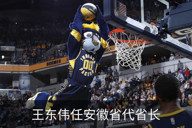 王东伟任安徽省代省长