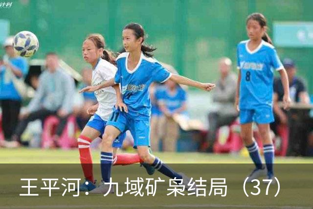 王平河：九域矿枭结局（3/7）