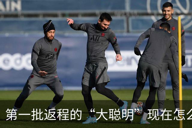 第一批返程的“大聪明”现在怎么样了？