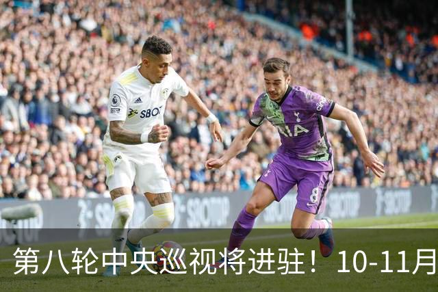 第八轮中央巡视将进驻！10-11月到位，受理哪些问题？附举报途径