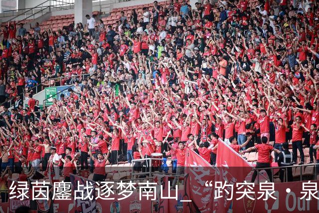 绿茵鏖战逐梦南山 “趵突泉·泉香杯”2026年南山足球联赛圆满闭幕