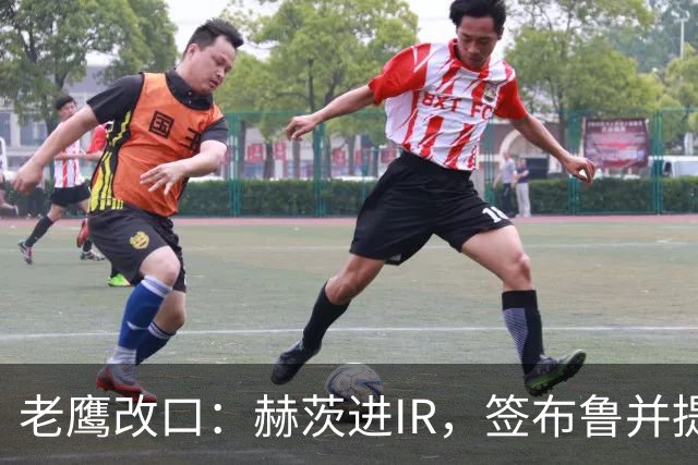 老鹰改口：赫茨进IR，签布鲁并提拔两人