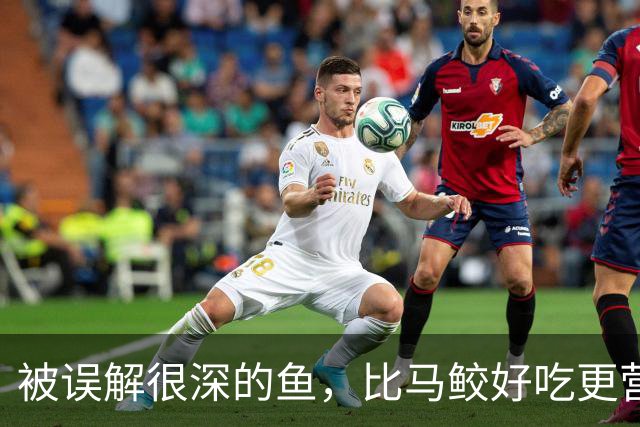 被误解很深的鱼，比马鲛好吃更营养，鱼肉似“千层糕”，我国独有