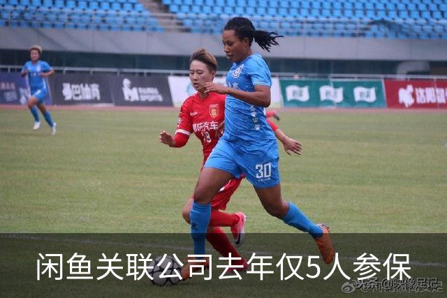闲鱼关联公司去年仅5人参保