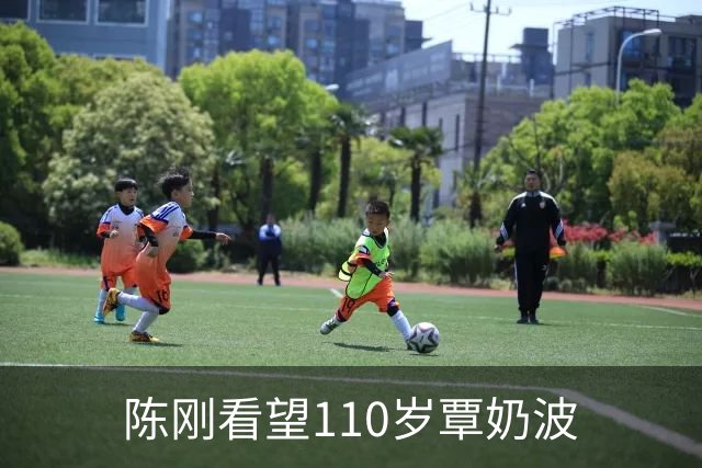 陈刚看望110岁覃奶波
