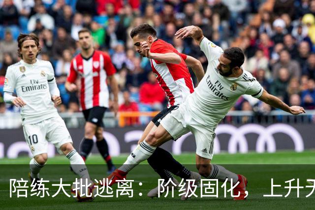 陪练大批逃离：阶级固化，上升无望，中国乒乓球的死局