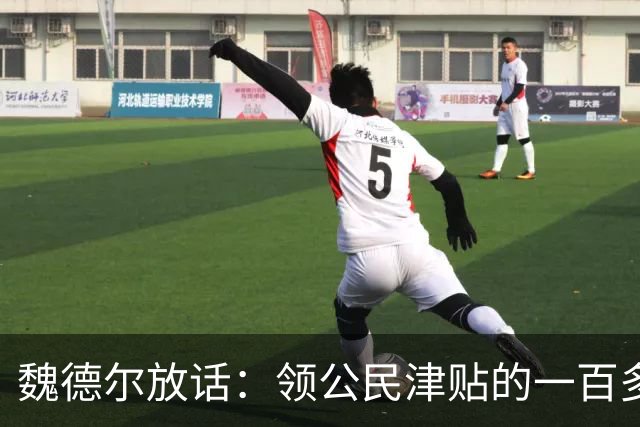 魏德尔放话：领公民津贴的一百多万乌克兰人全部回国。