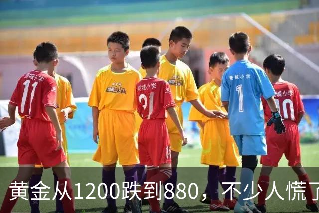 黄金从1200跌到880，不少人慌了！如果跌到500，你还敢买吗？